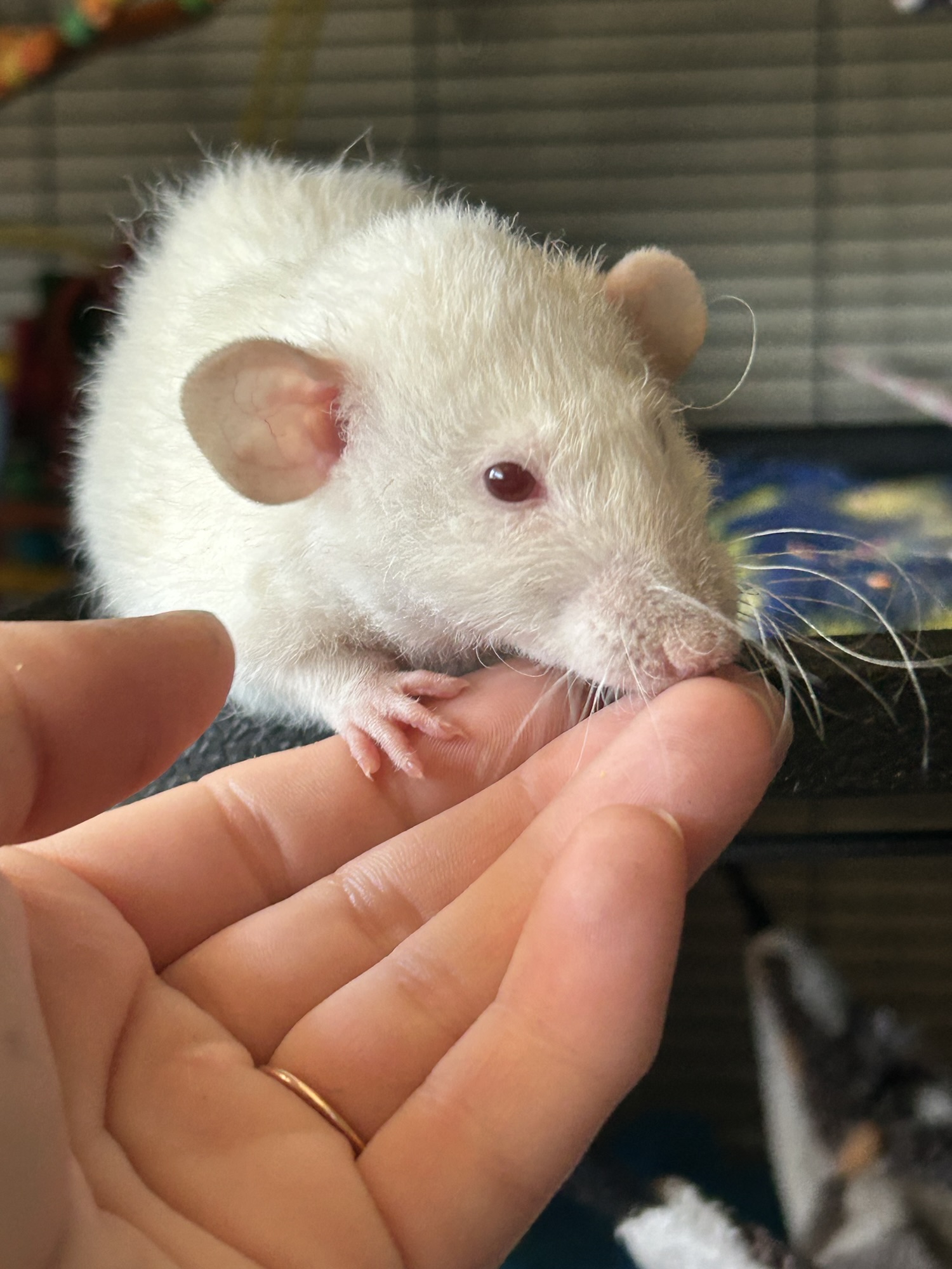 Aurora’s Profile