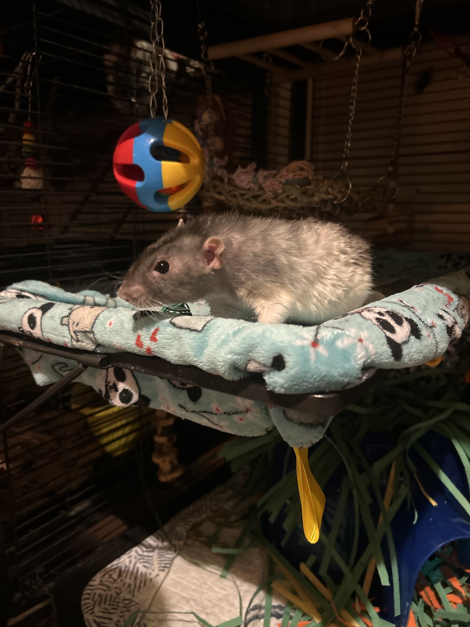 Humphrey’s Profile: Retired