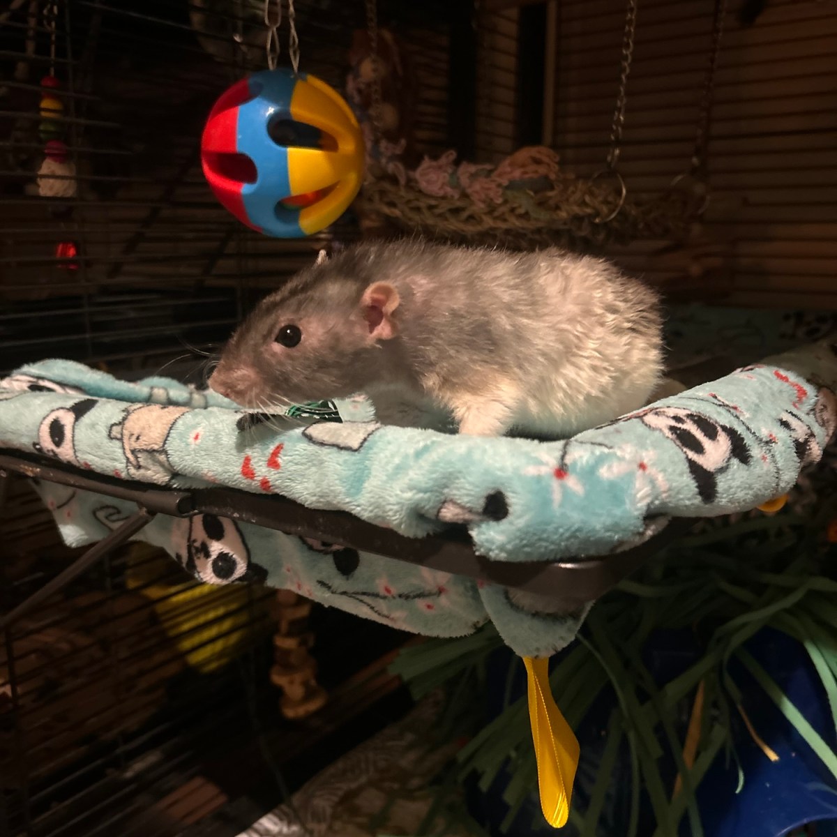 Humphrey’s Profile: Retired