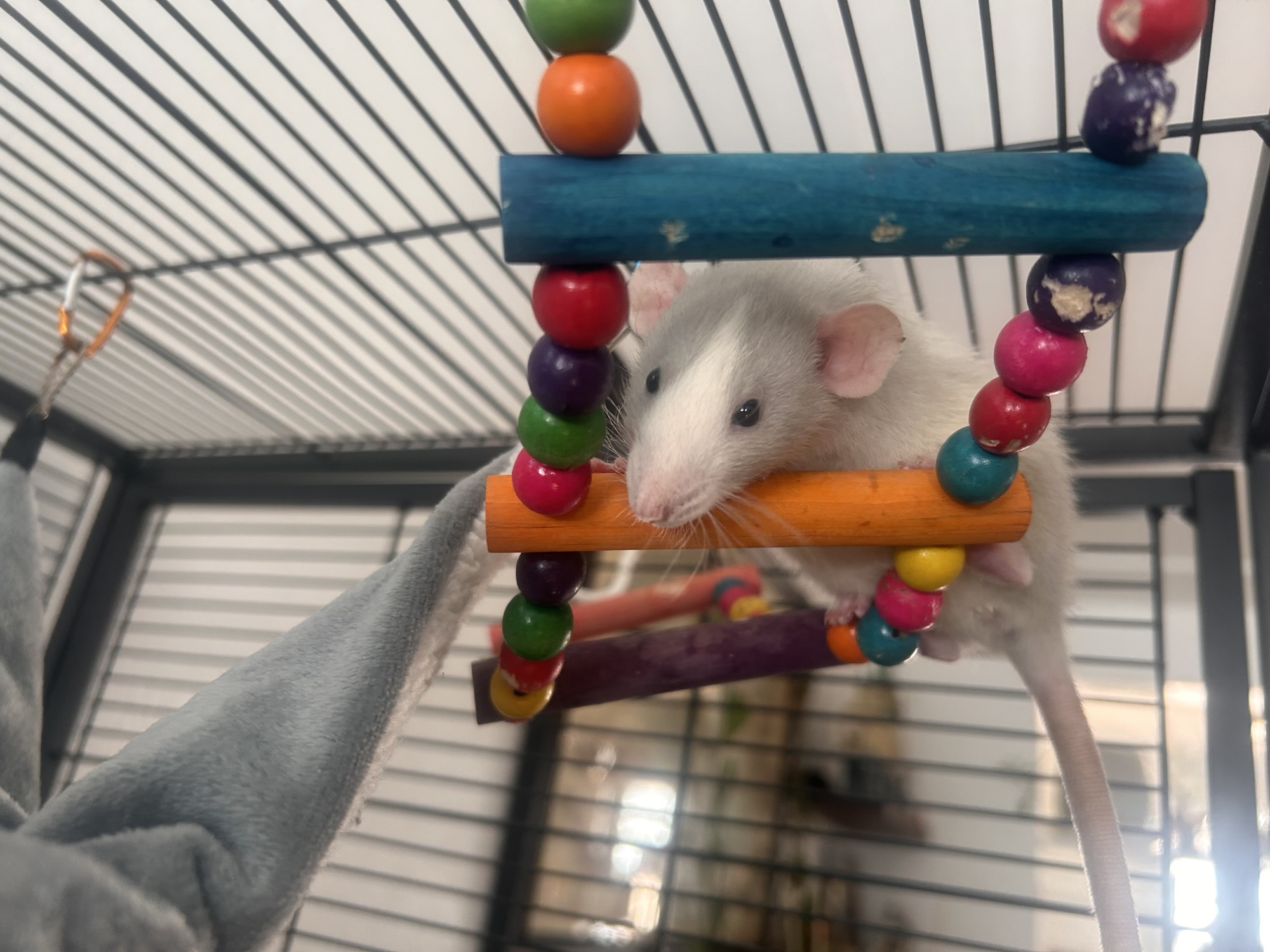 Peekaboo’s Profile